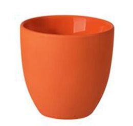 Rosenthal Lungo doppelwandig the cup+ Juicy Tangerine 