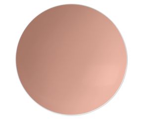 Seltmann Life Posh Rose Suppenteller Rund 20 cm 