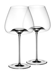 Zieher Weinglas Vision Balanced 2-er Set 