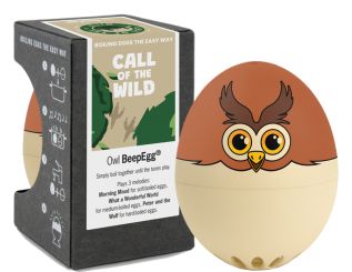 Brainstream PiepEi Eulen 