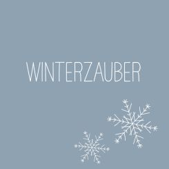 Paperproducts Design Servietten 33x33 cm Winterzauber blau 