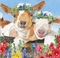 Paperproducts Servietten 33x33 cm Gary & Gracie 