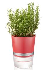 Gefu Kräutertopf Botanico Himbeerrot 