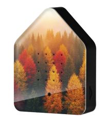Relaxound Zwitscherbox Golden Leaves 
