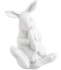 Fürstenberg Jahreshase 2026 WEISS MAX 