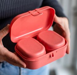 Koziol Lunchbox Pascal Ready Mini nature flower blue 