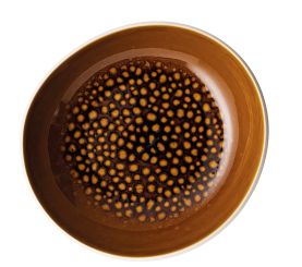 Rosenthal Junto Amber Teller Tief 22 cm 