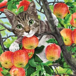 Paperproducts Servietten 33x33 cm Fuji 