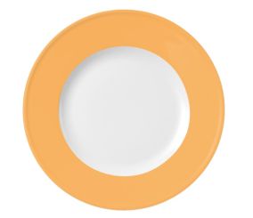 Dibbern Solid Color Mandarine Teller Flach 21 cm Fahne 