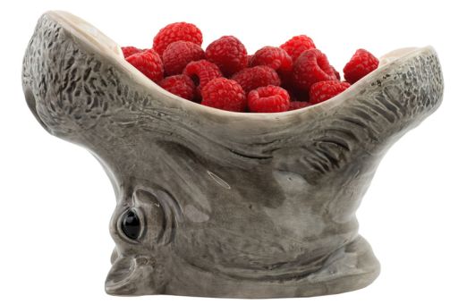 Donkey Schale Hungry Hippo grau 