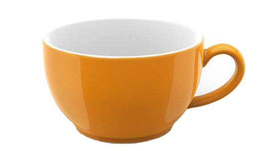 Dibbern Solid Color Orange Kaffee Obertasse 0,25 L 