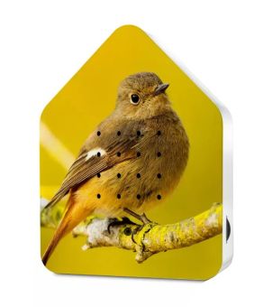 Relaxound Zwitscherbox Limited Editon Happy Birds Daurian Redstart 