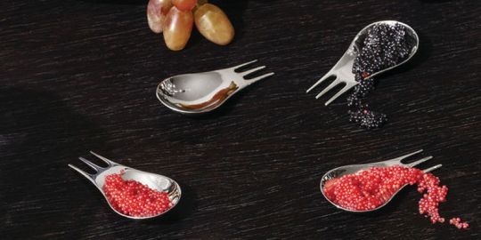 Alessi Moscardino 4 St.Besteckgarn. 