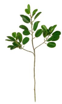 ASA Selection Ficus Blattzweig Deko L 48 cm 