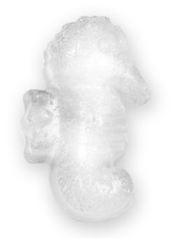 Lurch Eiswürfelbereiter Tropical sea horse 