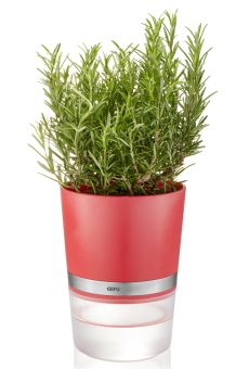 Gefu Kräutertopf Botanico Himbeerrot 