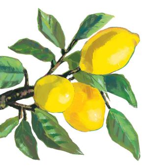 Paperproducts Servietten 25x25 cm Lemon Musée white 25x25 cm 
