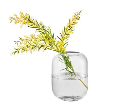Eva Solo Vase H 16,5 Acorn Clear 