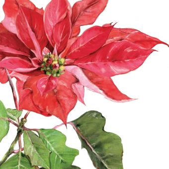 Paperproducts Design Servietten 33x33 cm Poinsettia rouge 