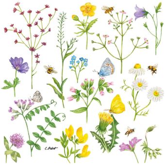 Paperproducts Servietten 33x33 cm Cornflowers 