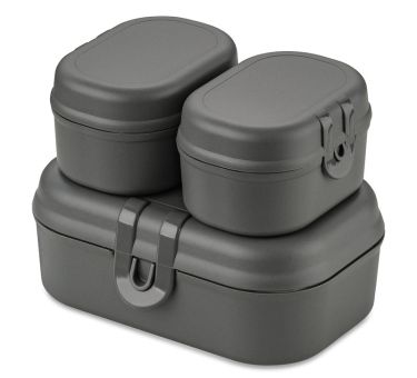 Koziol Lunchbox Pascal Ready Mini nature ash grey 