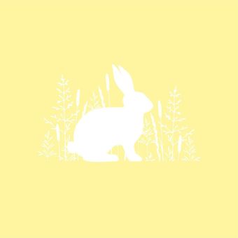 Paperproducts Servietten 33x33 cm Pure Easter 